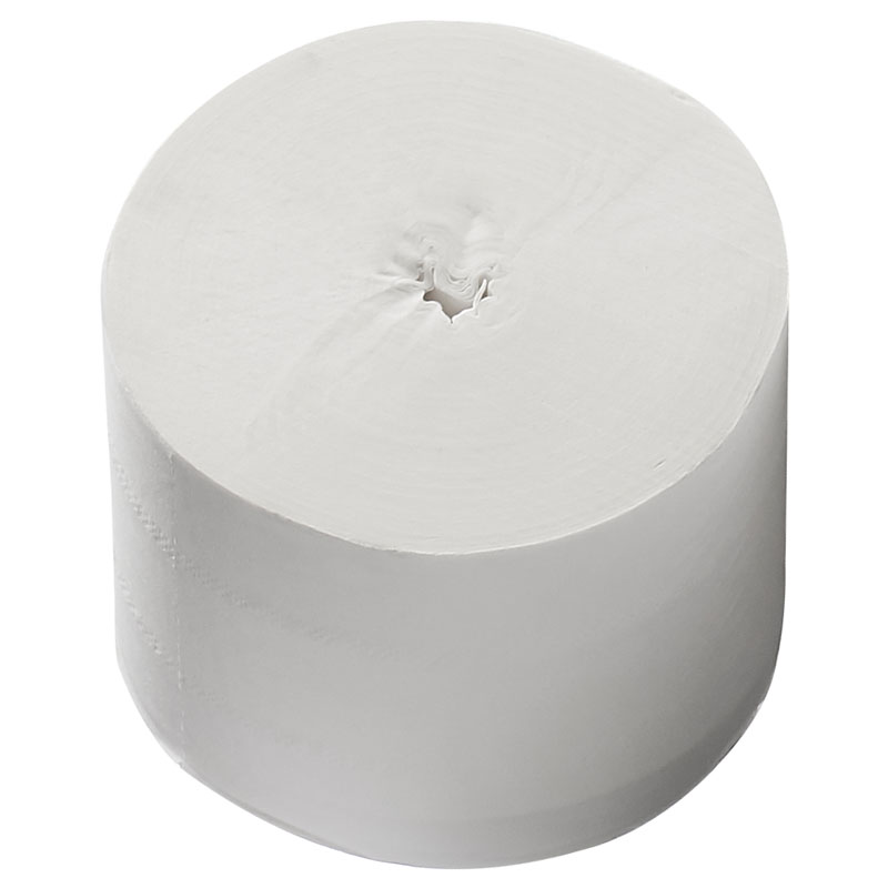 Coreless Toilet Roll 100m (Case/36)