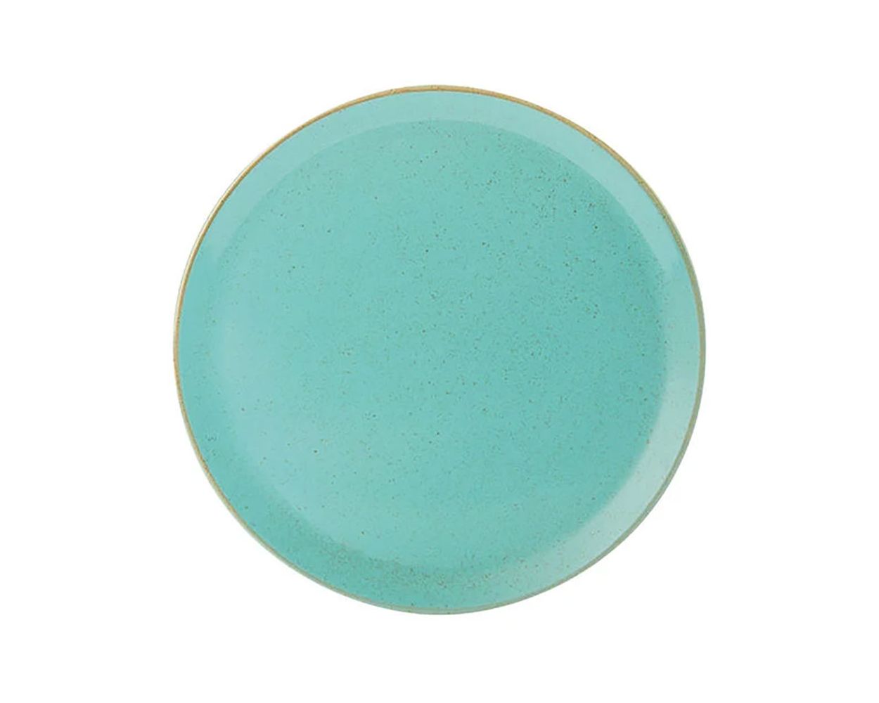 Sea Spray Pizza Plate 11" (Case/6)